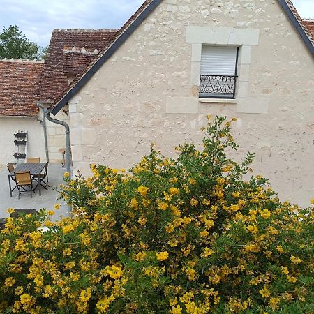 Gite De La Grand Maison Le Noyer Seigy Экстерьер фото